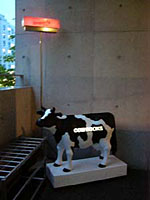 Cow Books | REALTOKYO